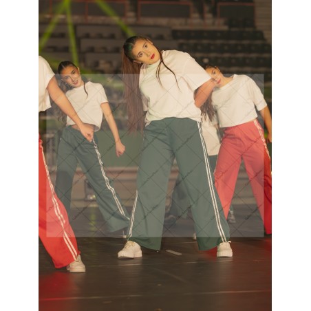 Photo Numérique Gym Danse Gala : Les Adultes 151