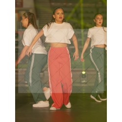 Photo Numérique Gym Danse Gala : Les Adultes 152