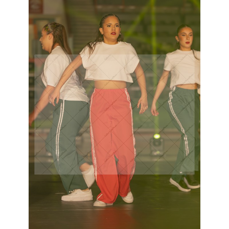 Photo Numérique Gym Danse Gala : Les Adultes 152