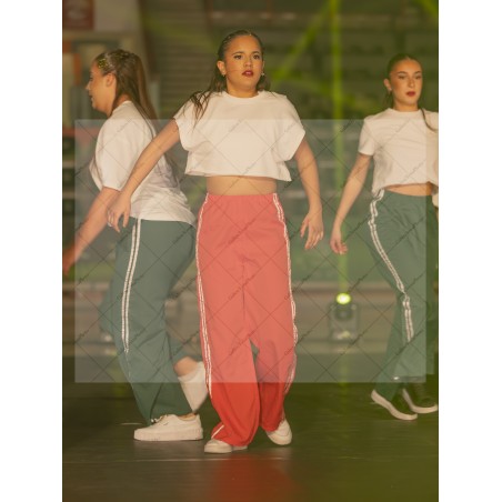 Photo Numérique Gym Danse Gala : Les Adultes 152