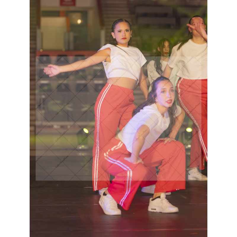 Photo Numérique Gym Danse Gala : Les Adultes 153