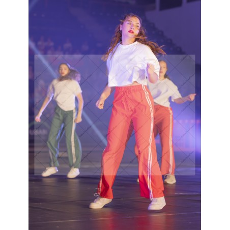 Photo Numérique Gym Danse Gala : Les Adultes 158