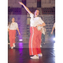 Photo Numérique Gym Danse Gala : Les Adultes 161