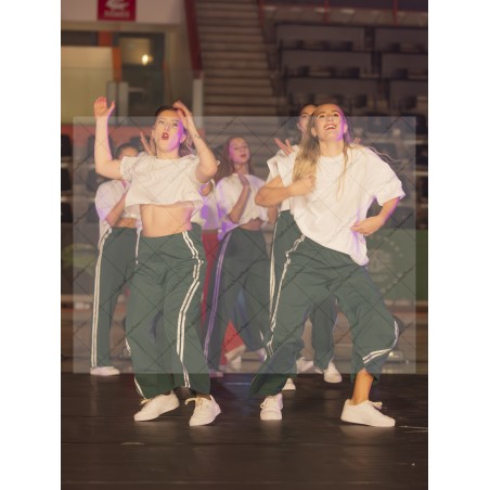 Photo Numérique Gym Danse Gala : Les Adultes 164
