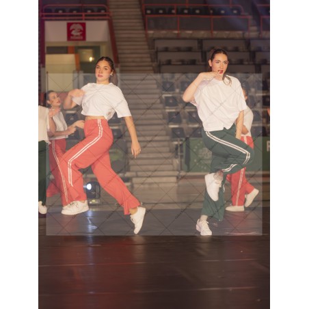 Photo Numérique Gym Danse Gala : Les Adultes 168