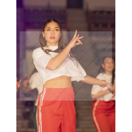 Photo Numérique Gym Danse Gala : Les Adultes 172