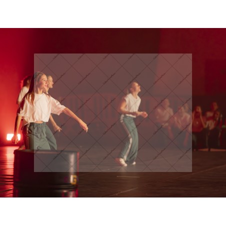Photo Numérique Gym Danse Gala : Les Adultes 176