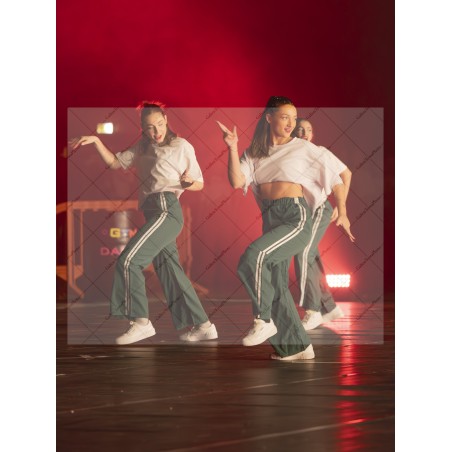 Photo Numérique Gym Danse Gala : Les Adultes 177