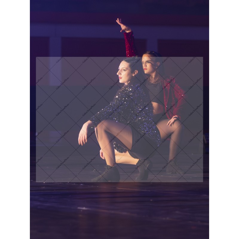 Photo Numérique Gym Danse Gala : Les Adultes 191