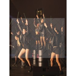 Photo Numérique Gym Danse Gala : Les adultes 198 (idem Ados)