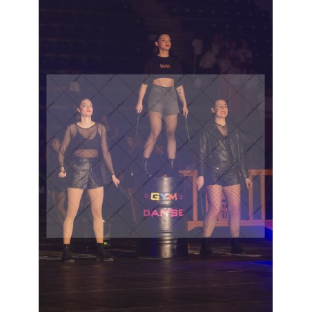 Photo Numérique Gym Danse Gala : Les adultes 204 (idem Ados)