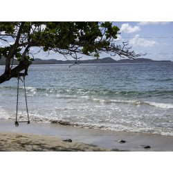 Balançoire en Martinique