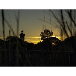 Coucher de soleil sur le phare de l'Espiguette au Grau du Roi