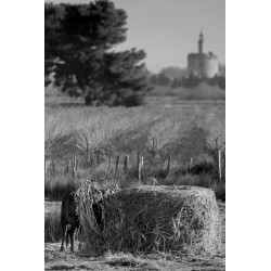 Repas en camargue