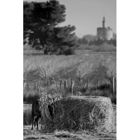Repas en camargue