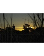 Coucher de soleil