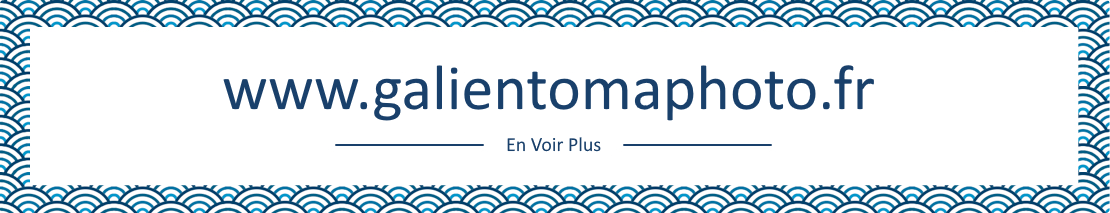 En voir plus sur mon site vitrine
